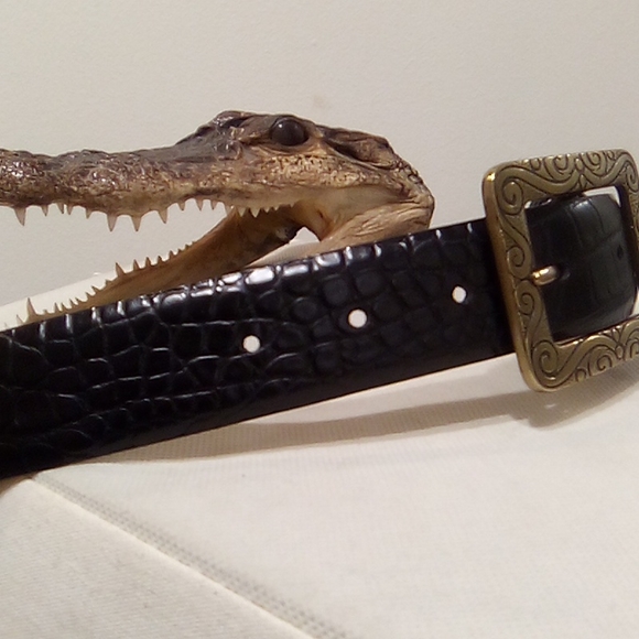 Lake Shore Drive Black Gater Bronze Scrollwork Buckle Belt - Picture 5 of 16